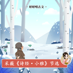 中国老熟女视频
