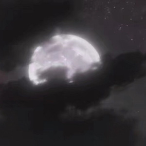 中国老熟女视频
