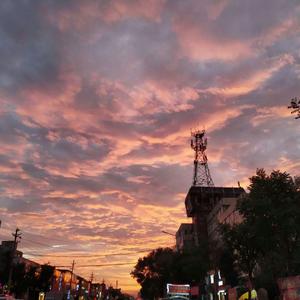 中国老熟女视频
