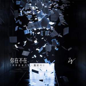 中国老熟女视频
