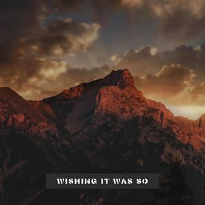 中国老熟女视频
